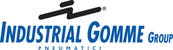 Industrial Gomme Group (BS)